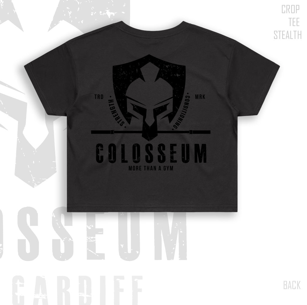 Colosseum Crop Tee (relaxed fit)