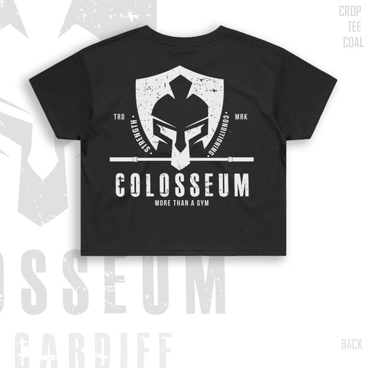 Colosseum Crop Tee (relaxed fit)