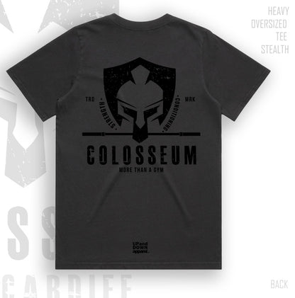 Colosseum Heavy Oversize Tee Men